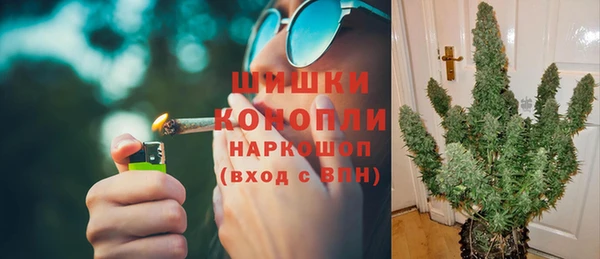 ГАЛЛЮЦИНОГЕННЫЕ ГРИБЫ Слюдянка