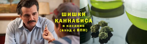 mdma Богородицк