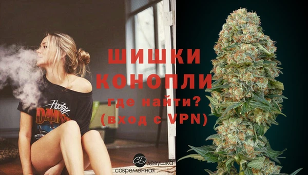 2c-b Бородино
