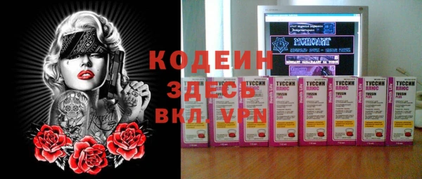 2c-b Бородино