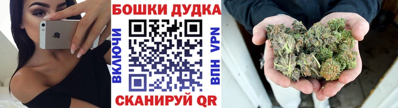 купить наркотик  Кондопога  Бошки марихуана семена 